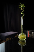 Küçük bambu vazo (30cm)